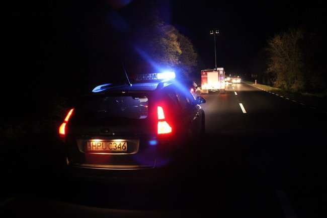 Najechała na stado dzików - zdjęcia