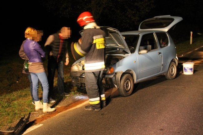 Najechała na stado dzików - zdjęcia