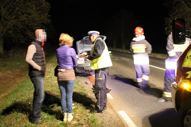 Najechała na stado dzików - zdjęcia