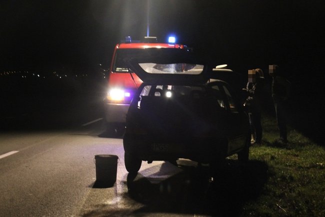 Najechała na stado dzików - zdjęcia