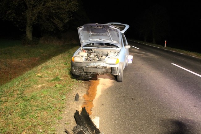 Najechała na stado dzików - zdjęcia
