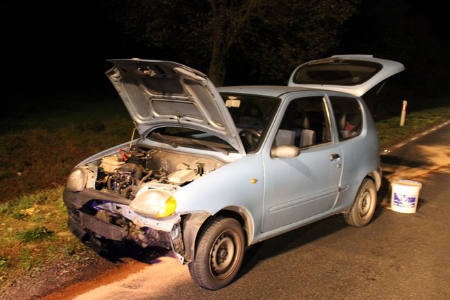 Najechała na stado dzików - zdjęcia