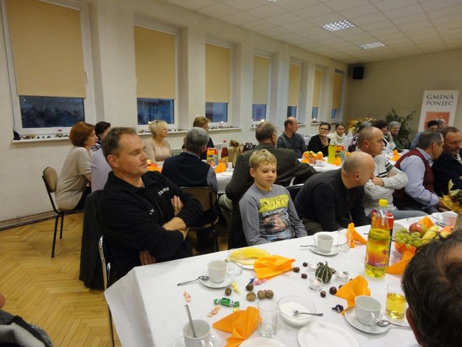 Czekają na wiosnę - zdjęcia