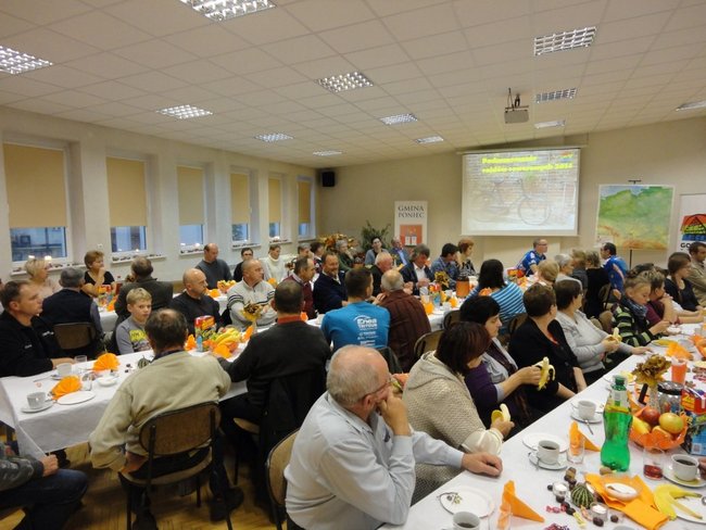 Czekają na wiosnę - zdjęcia