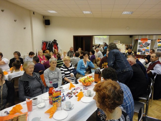 Czekają na wiosnę - zdjęcia