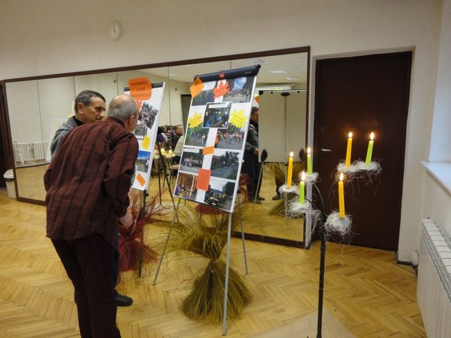 Czekają na wiosnę - zdjęcia