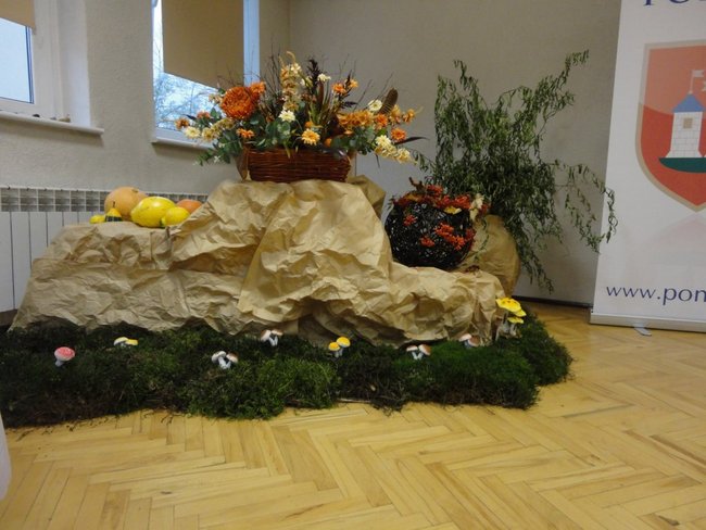 Czekają na wiosnę - zdjęcia