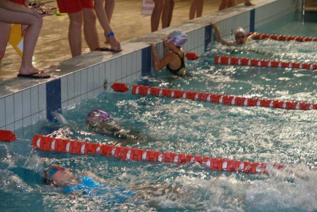 Nagrodzili wszystkich ? zdjęcia