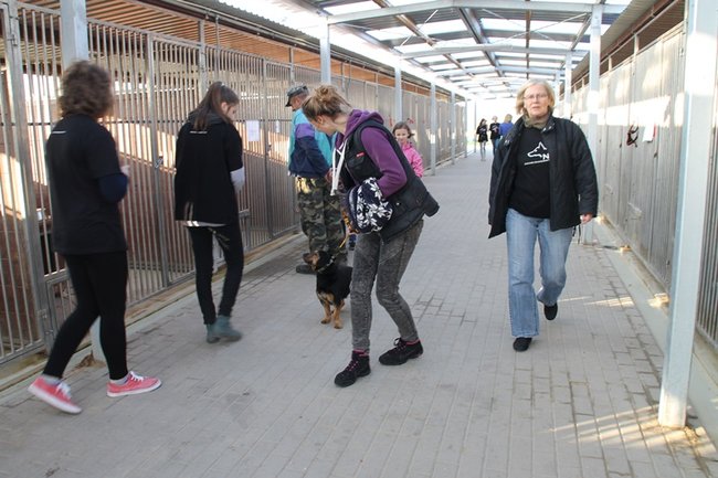 Zachęcali do adopcji - zdjęcia