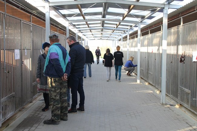 Zachęcali do adopcji - zdjęcia