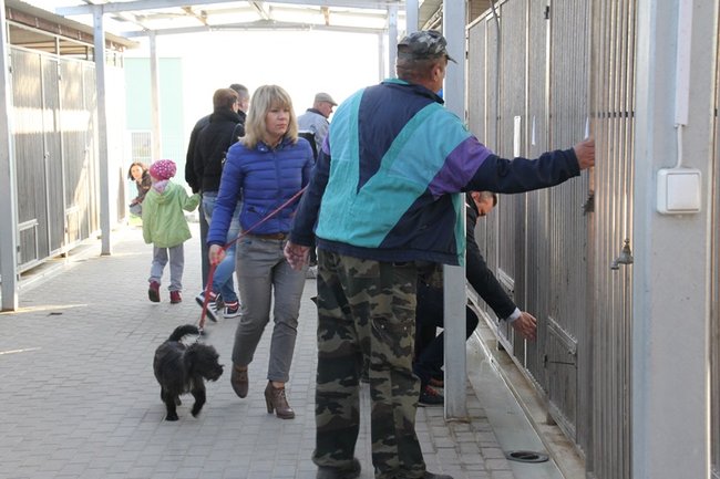 Zachęcali do adopcji - zdjęcia