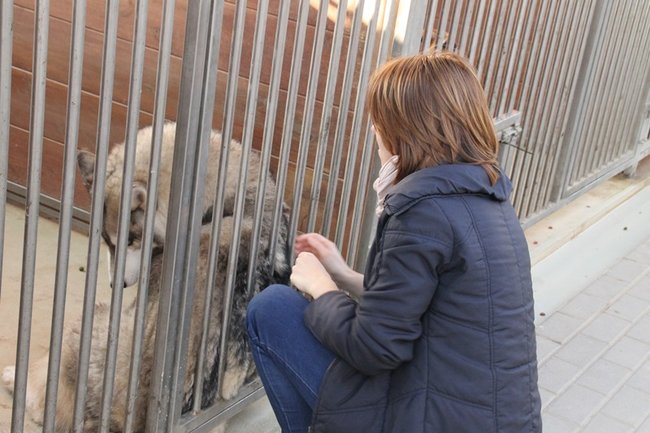 Zachęcali do adopcji - zdjęcia