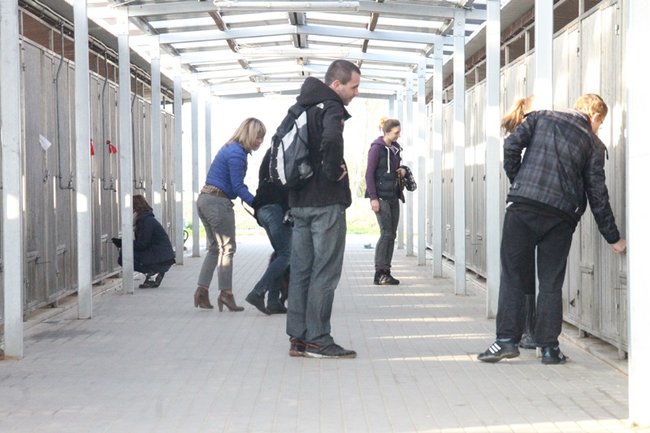 Zachęcali do adopcji - zdjęcia