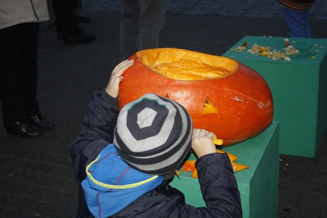 Wesołe dekoracje z dyni ? zdjęcia