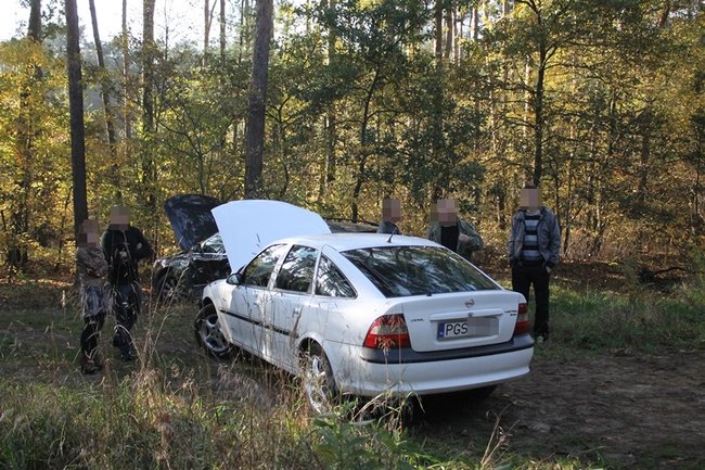 Passatem w drzewo - zdjęcia