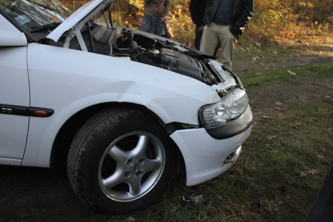 Passatem w drzewo - zdjęcia