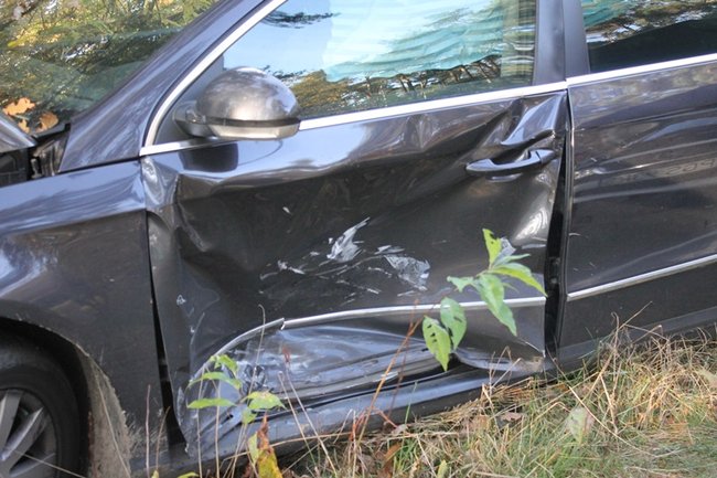 Passatem w drzewo - zdjęcia