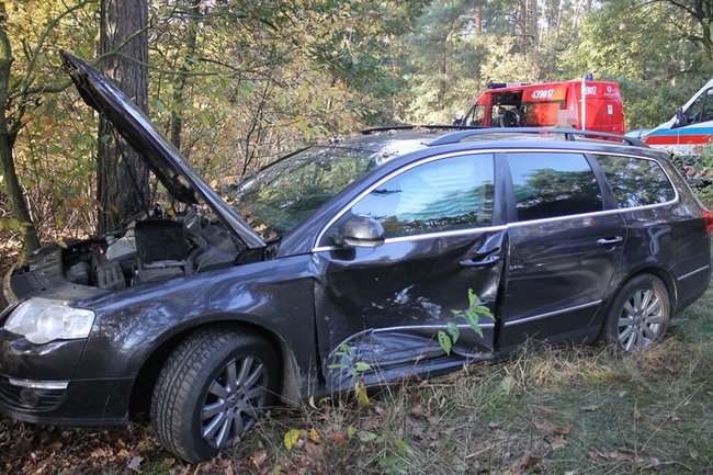 Passatem w drzewo - zdjęcia