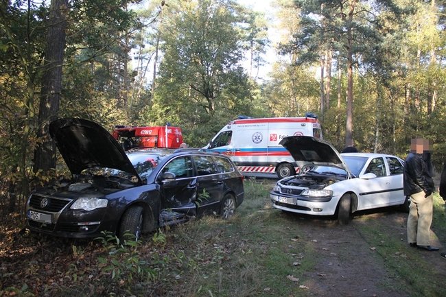 Passatem w drzewo - zdjęcia