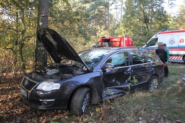 Passatem w drzewo - zdjęcia