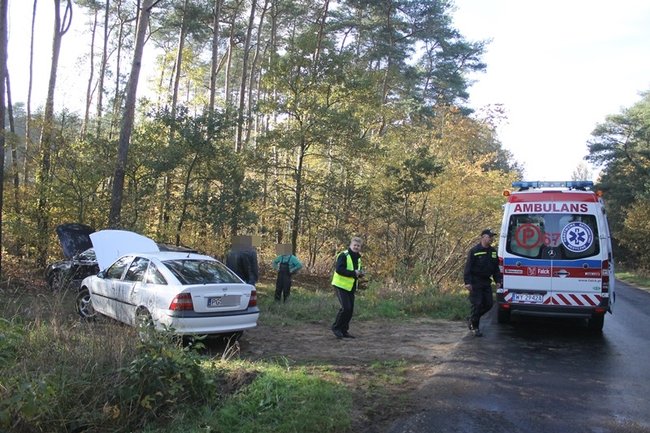 Passatem w drzewo - zdjęcia