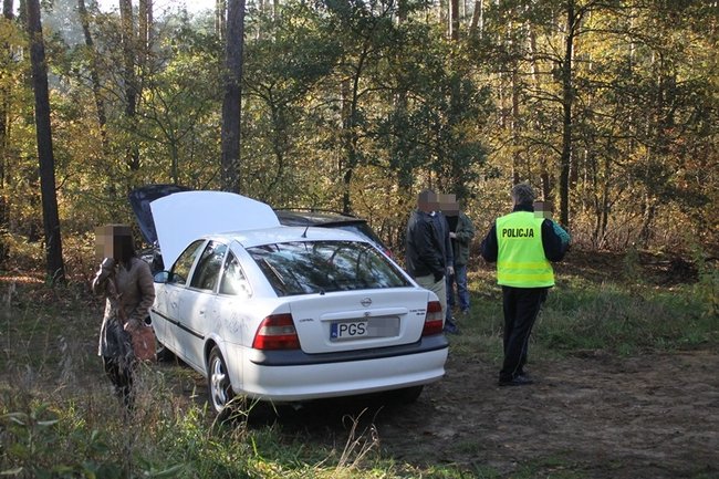 Passatem w drzewo - zdjęcia