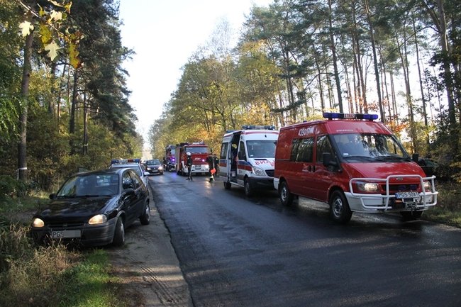 Passatem w drzewo - zdjęcia