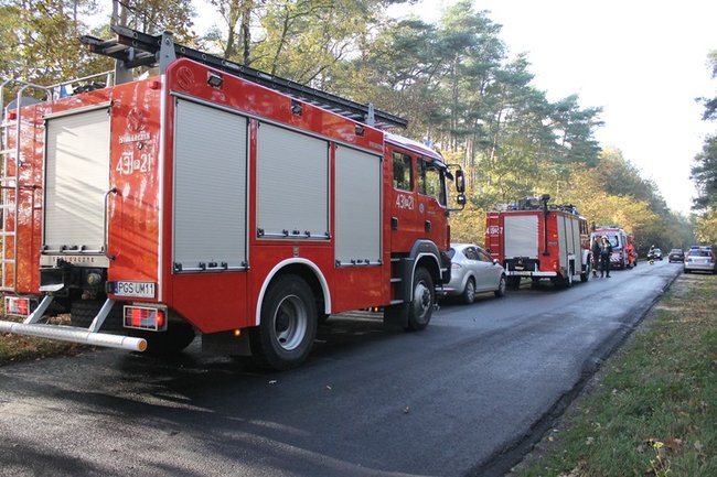 Passatem w drzewo - zdjęcia