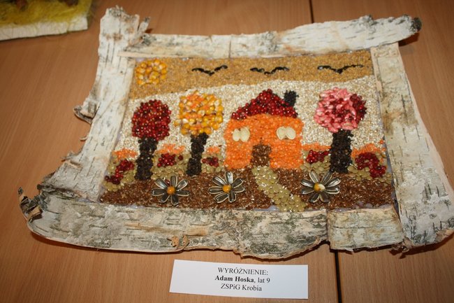 Zaskoczyli inwencją twórczą - zdjęcia