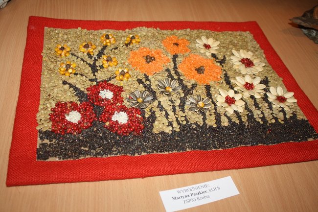 Zaskoczyli inwencją twórczą - zdjęcia