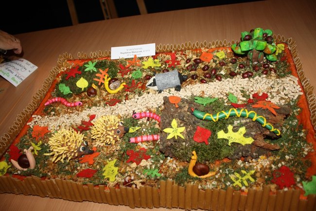 Zaskoczyli inwencją twórczą - zdjęcia