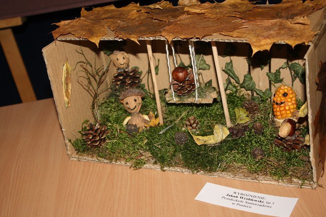 Zaskoczyli inwencją twórczą - zdjęcia