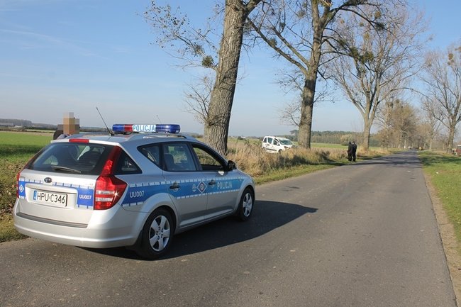 Samochód starostwa uderzył w drzewo