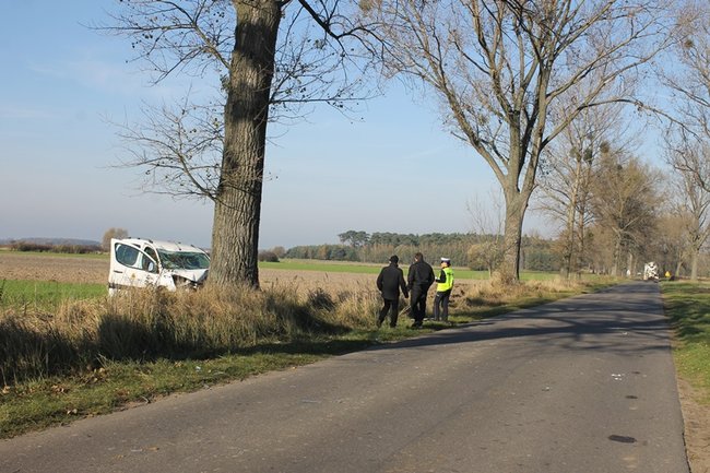Samochód starostwa uderzył w drzewo