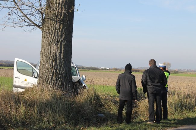 Samochód starostwa uderzył w drzewo