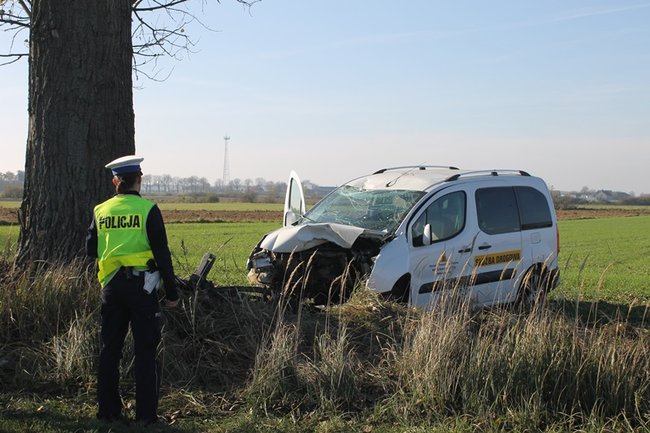 Samochód starostwa uderzył w drzewo