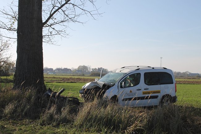 Samochód starostwa uderzył w drzewo