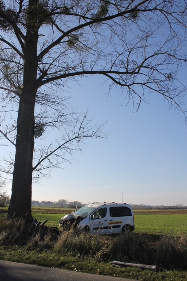 Samochód starostwa uderzył w drzewo
