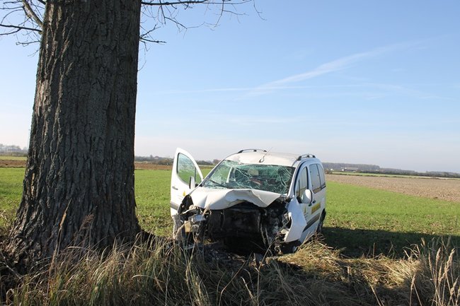 Samochód starostwa uderzył w drzewo