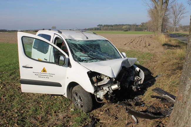 Samochód starostwa uderzył w drzewo