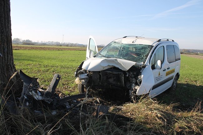 Samochód starostwa uderzył w drzewo