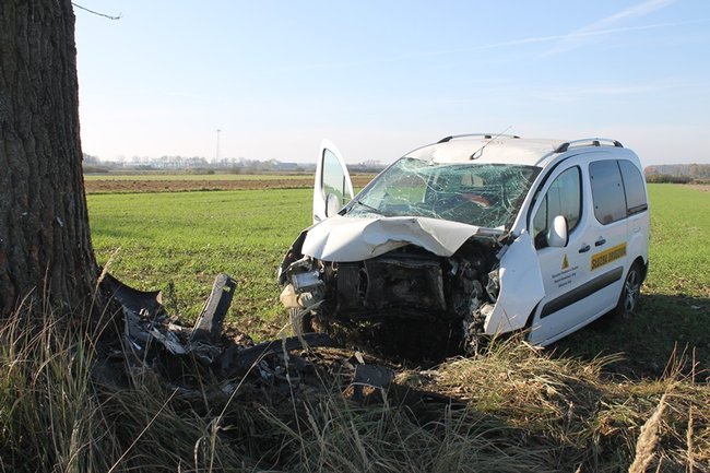 Samochód starostwa uderzył w drzewo