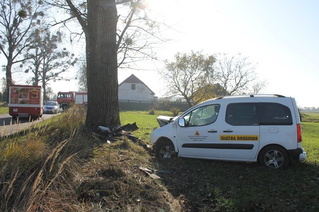 Samochód starostwa uderzył w drzewo