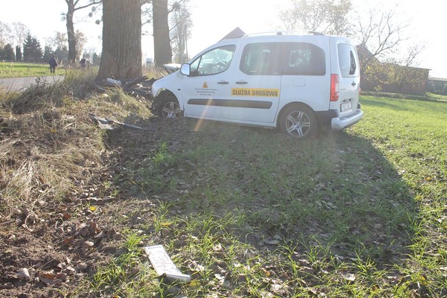 Samochód starostwa uderzył w drzewo