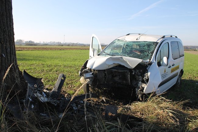 Samochód starostwa uderzył w drzewo