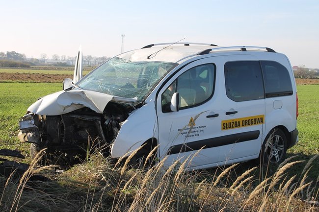 Samochód starostwa uderzył w drzewo