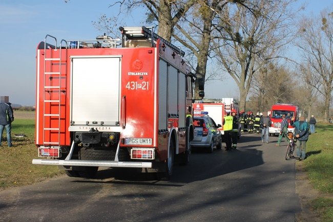 Samochód starostwa uderzył w drzewo