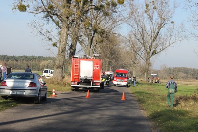 Samochód starostwa uderzył w drzewo