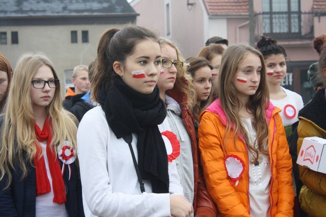 Młodzież rozdawała flagi - zdjęcia