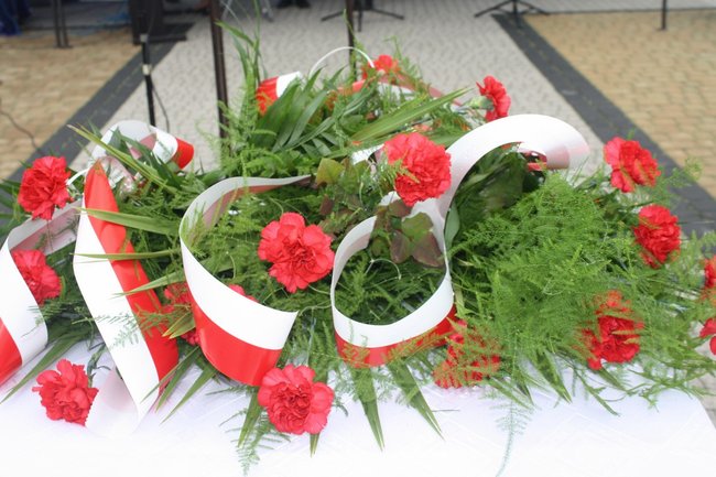 Młodzież rozdawała flagi - zdjęcia